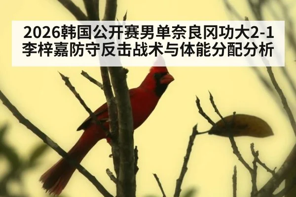 2026韩国公开赛男单奈良冈功大2-1李梓嘉防守反击战术与体能分配分析