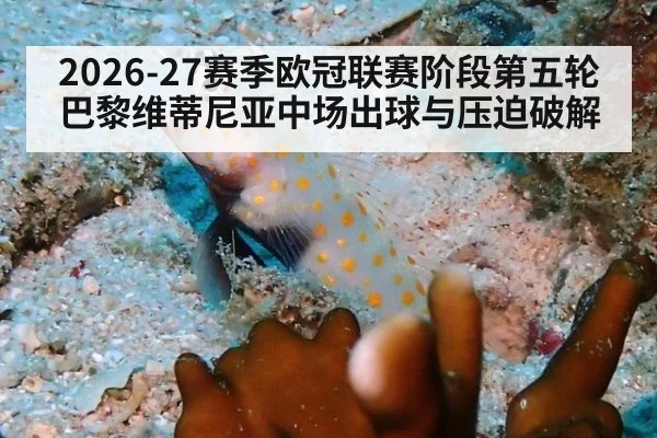2026-27赛季欧冠联赛阶段第五轮 巴黎维蒂尼亚中场出球与压迫破解